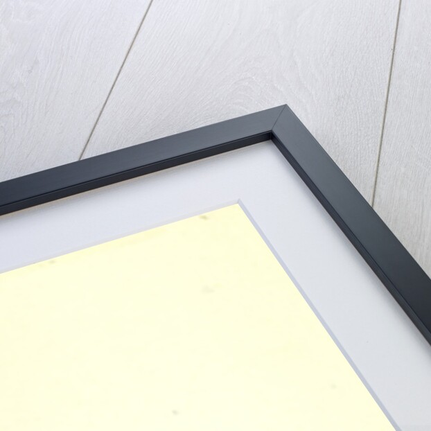 Wrestle by Monsieur Cabinet