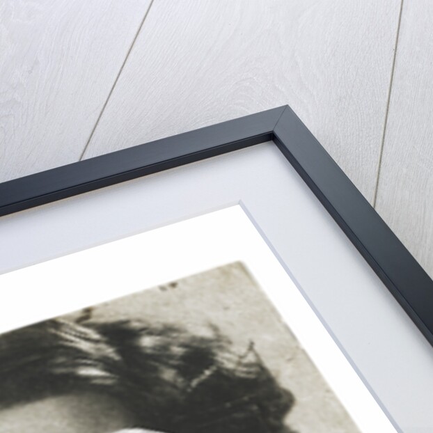 Plus One by Michelle Thompson