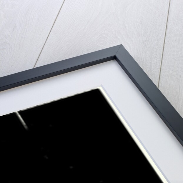 Utopia by Alex Williamson