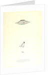 UFO by Monsieur Cabinet