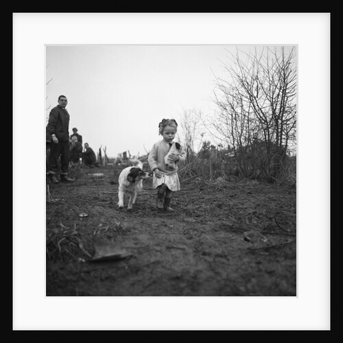 Gipsy child with a puppy, Lewes, Sussex, 1963 by Tony Boxall