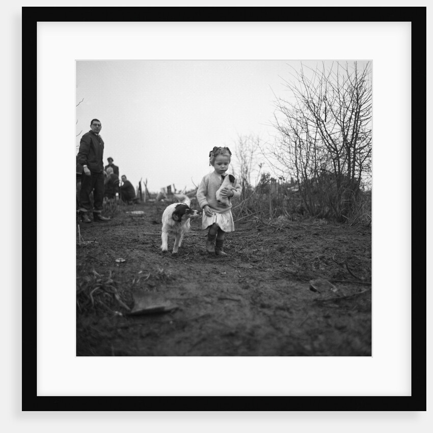 Gipsy child with a puppy, Lewes, Sussex, 1963 by Tony Boxall