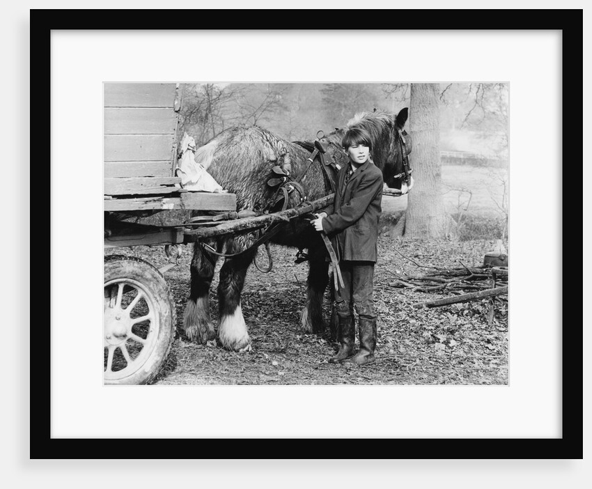 Young gypsy with a horse, 1960s by Tony Boxall