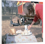 Gipsy woman making tea, Charlwood, Newdigate area, Surrey, 1964 by Tony Boxall