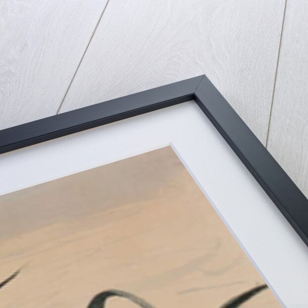 Study of an agave, with additions by a Borbone pupil by Giacinto Gigante