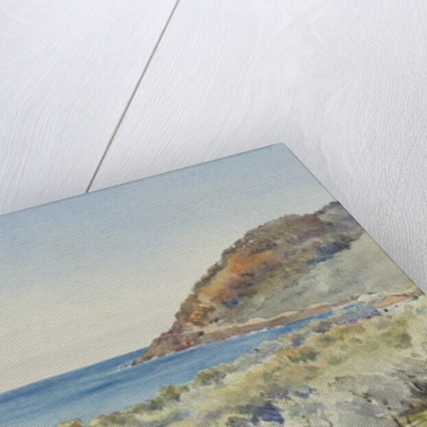 At San Remo looking West, 29th November 1877 by George Douglas Tinling