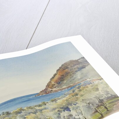 At San Remo looking West, 29th November 1877 by George Douglas Tinling