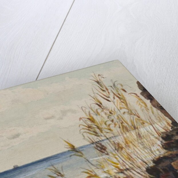 At San Remo looking over the Mediterranean, 10th January 1878 by George Douglas Tinling