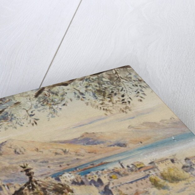 San Remo, 12th January 1878 by George Douglas Tinling