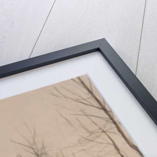 Carshalton Quarry, 1907 by Horace Mann Livens