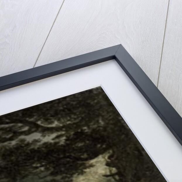 A Cottage by a Woodland Path, 1797 by William Payne