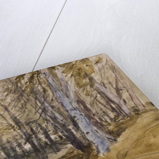 Trees on Box Hill by David Cox