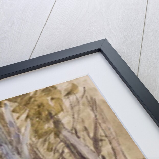 Trees on Box Hill by David Cox