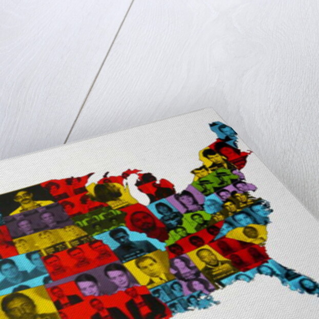 Celebrity Arrest Map, 2016 by David Studwell