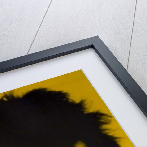 Sid Vicious II, 2016 by David Studwell