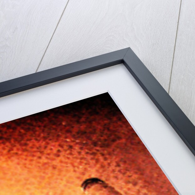 Battersea power station, 2013 by David Studwell