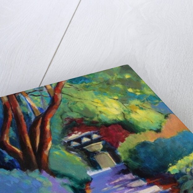 Shaded Path, 2013 by Marco Cazzulini