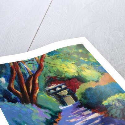 Shaded Path, 2013 by Marco Cazzulini