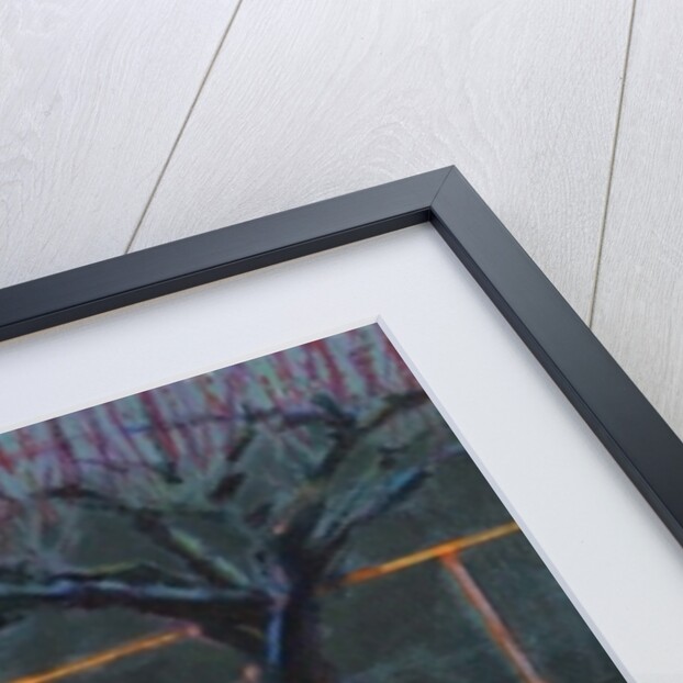 Apple Tree, late winter, 2018 by Marco Cazzulini