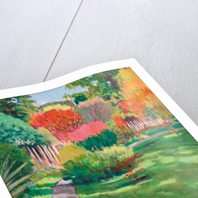 Botanical Gardens,2011 by Marco Cazzulini