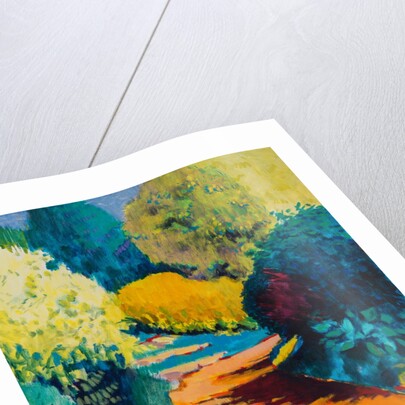 Orange Path by Marco Cazzulini