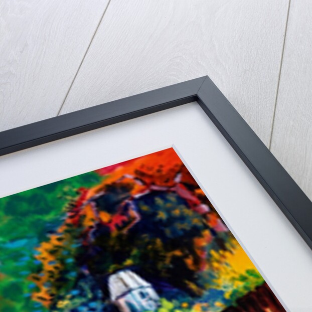 Dovecote; Exotic by Marco Cazzulini