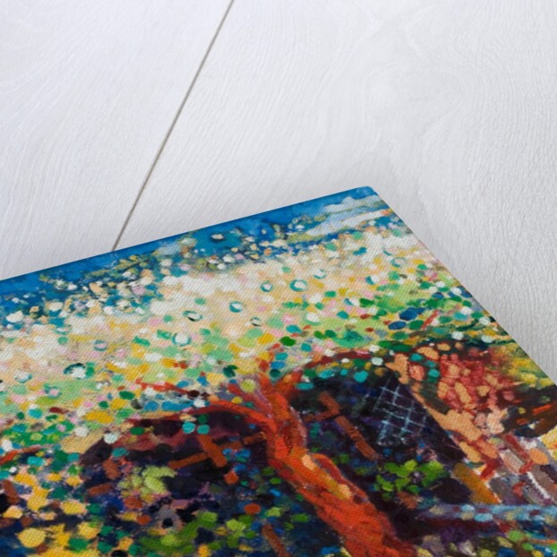 Apple Tree Blossom by Marco Cazzulini