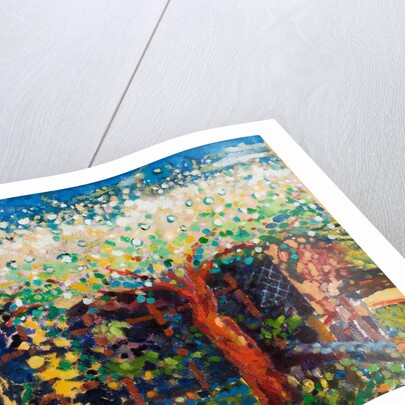 Apple Tree Blossom by Marco Cazzulini