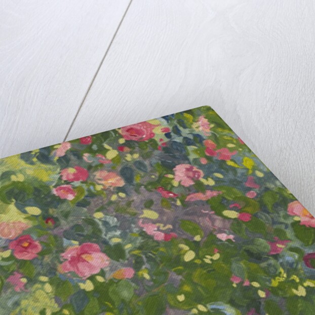 Camellia in Flower, 2014 by Leigh Glover