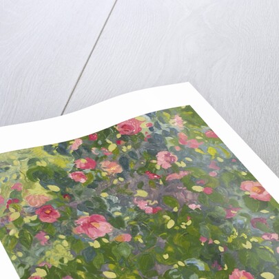 Camellia in Flower, 2014 by Leigh Glover