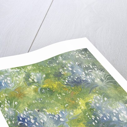 Snowdrops, 2014 by Leigh Glover