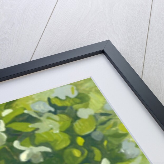 Magnolia in flower, 2014 by Leigh Glover