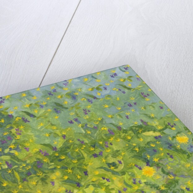 Woodland Opening, 2014 by Leigh Glover