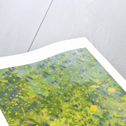 Woodland Opening, 2014 by Leigh Glover