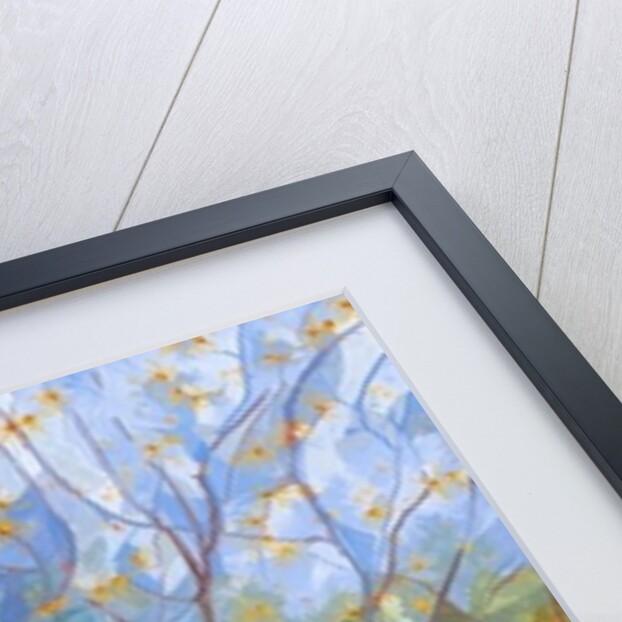 Witch Hazel in Flower, 2015 by Leigh Glover