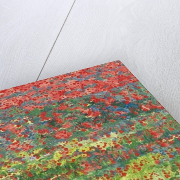 Poppies, 2012 by Leigh Glover