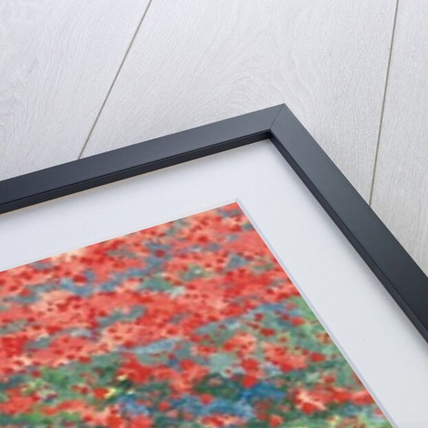 Poppies, 2012 by Leigh Glover