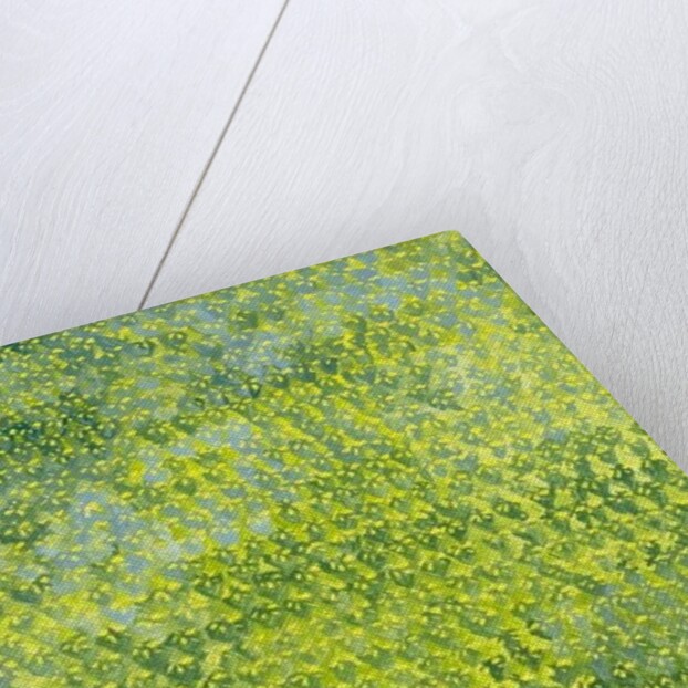 Daffodils, 2012 by Leigh Glover