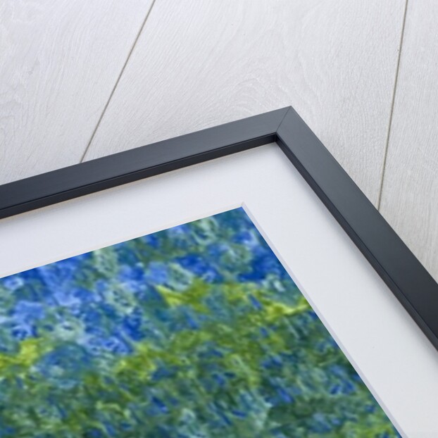 Bluebells, 2012 by Leigh Glover