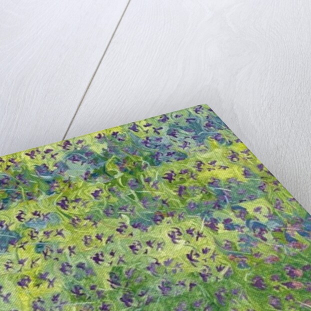 Sweet Violets, 2012 by Leigh Glover