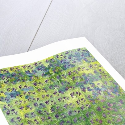 Sweet Violets, 2012 by Leigh Glover