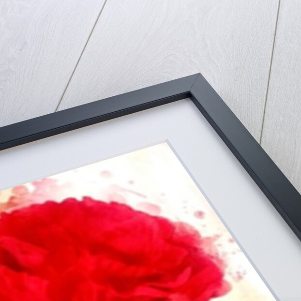 Peony and Poppy, 2014 by AlyZen Moonshadow