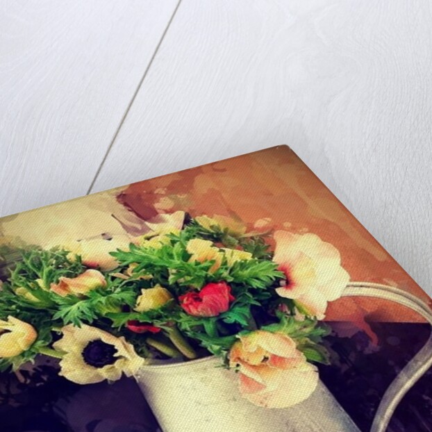 Anemones in Jug, 2014 by AlyZen Moonshadow