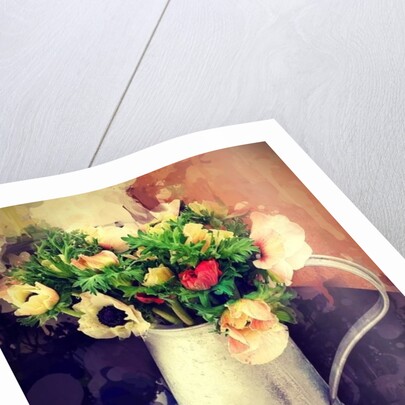 Anemones in Jug, 2014 by AlyZen Moonshadow