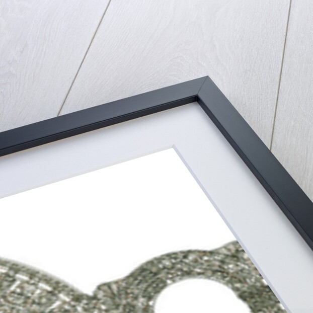 Portico de la Gloria. Santiago de Compostela Cathedral, Spain by Fernando Aznar Cenamor