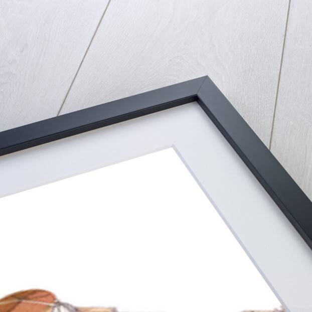 St. Peter's Basilica. Vatican City, Rome. Italy by Fernando Aznar Cenamor