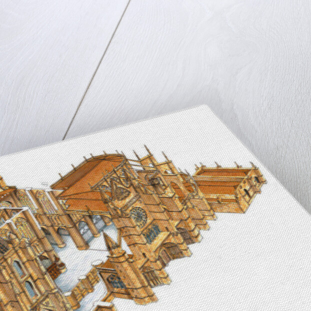 Leon Cathedral. Spain by Fernando Aznar Cenamor