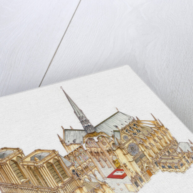 Notre-Dame Cathedral. Paris, France, 2014 by Fernando Aznar Cenamor