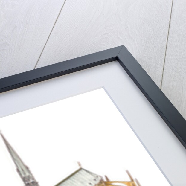 Notre-Dame Cathedral. Paris, France, 2014 by Fernando Aznar Cenamor