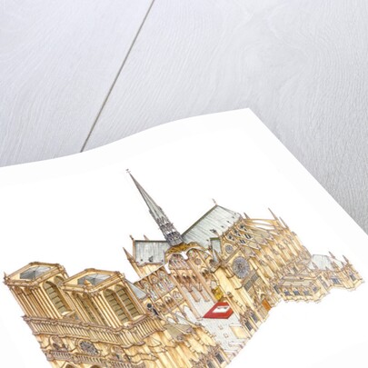 Notre-Dame Cathedral. Paris, France, 2014 by Fernando Aznar Cenamor